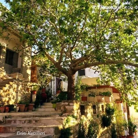 Fasolas Square 15m2 Is Located 30 Stairs Up From The Main Road And It Is In The Old Market Fasolas And Next To The Museums * Filótion